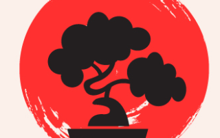 acceptance, compassionate listening, resilience key ideas, solitude