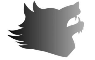 two wolves