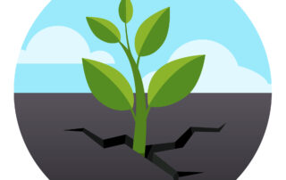 finished with growing, sfbt, solution focused training