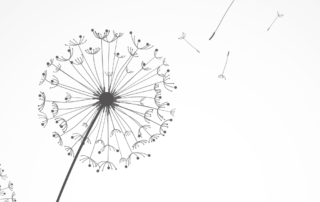 hypnotherapy, forgetting, memory, remembering