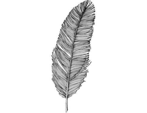 Tickling Can Stop Arguments and Improve Your Relationship