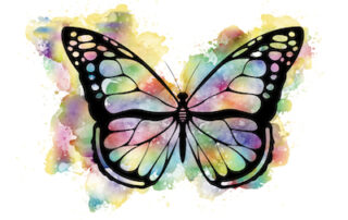 reinvent yourself, loss