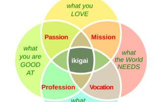 the concept of ikigai