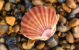 pilgrimage, transformation