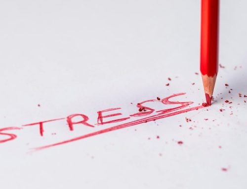 How to Combat Stress in Daily Life