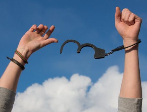 Finding Freedom and Meaning – All You Need to Know