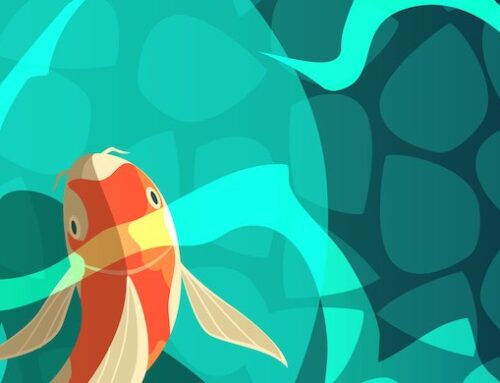 What is Mindfulness?